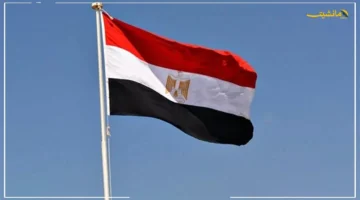 رفض مصري قاطع.. القاهرة ترد على تصريحات نتنياهو حول تهجير سكان غزة عبر معبر رفح مرفوض قسرًا وطوعًا. 1